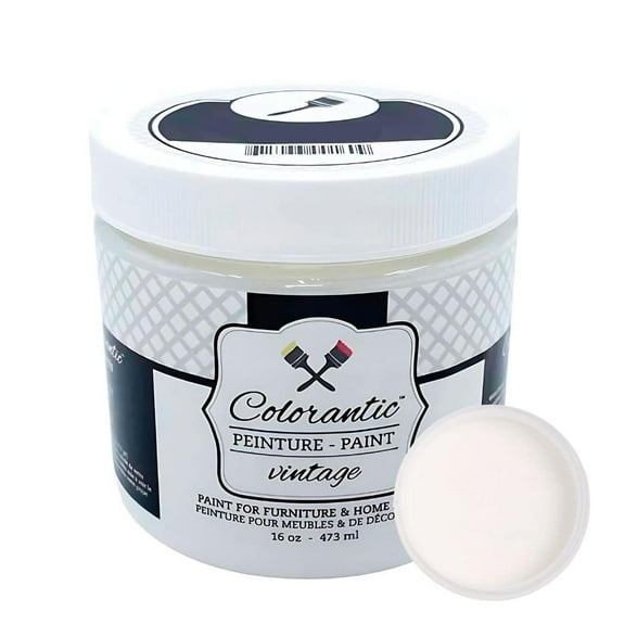 Colorantic | Furniture Semi-Gloss SATIN Water-Based Varnish Top Coat| Arts and Craft DIY Projects (8 oz)