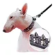 thumbnail image 3 of Collar Para Perro Con Picos De Metal, Razas Pequeñas. Mod.3, 3 of 8
