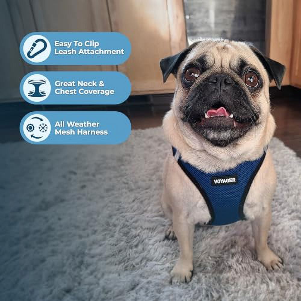 Best Pet Supplies - Voyager Step-in Air Pet Harness - All Weather Mesh - Blue/Black Trim, XXXS