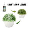thumbnail image 5 of Amino Acid Plant Nutrient Fertilizer Easy Absorption Health Ingredients Solution for Agricultural Accessory, 5 of 5