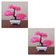thumbnail image 1 of Bearachild Maceta decorativa con simulación de plantas artificiales, bola de hierba, bonsái, adorno de flores decorativas para el hogar, piña rosa yunsong 2Conjunto, 1 of 6