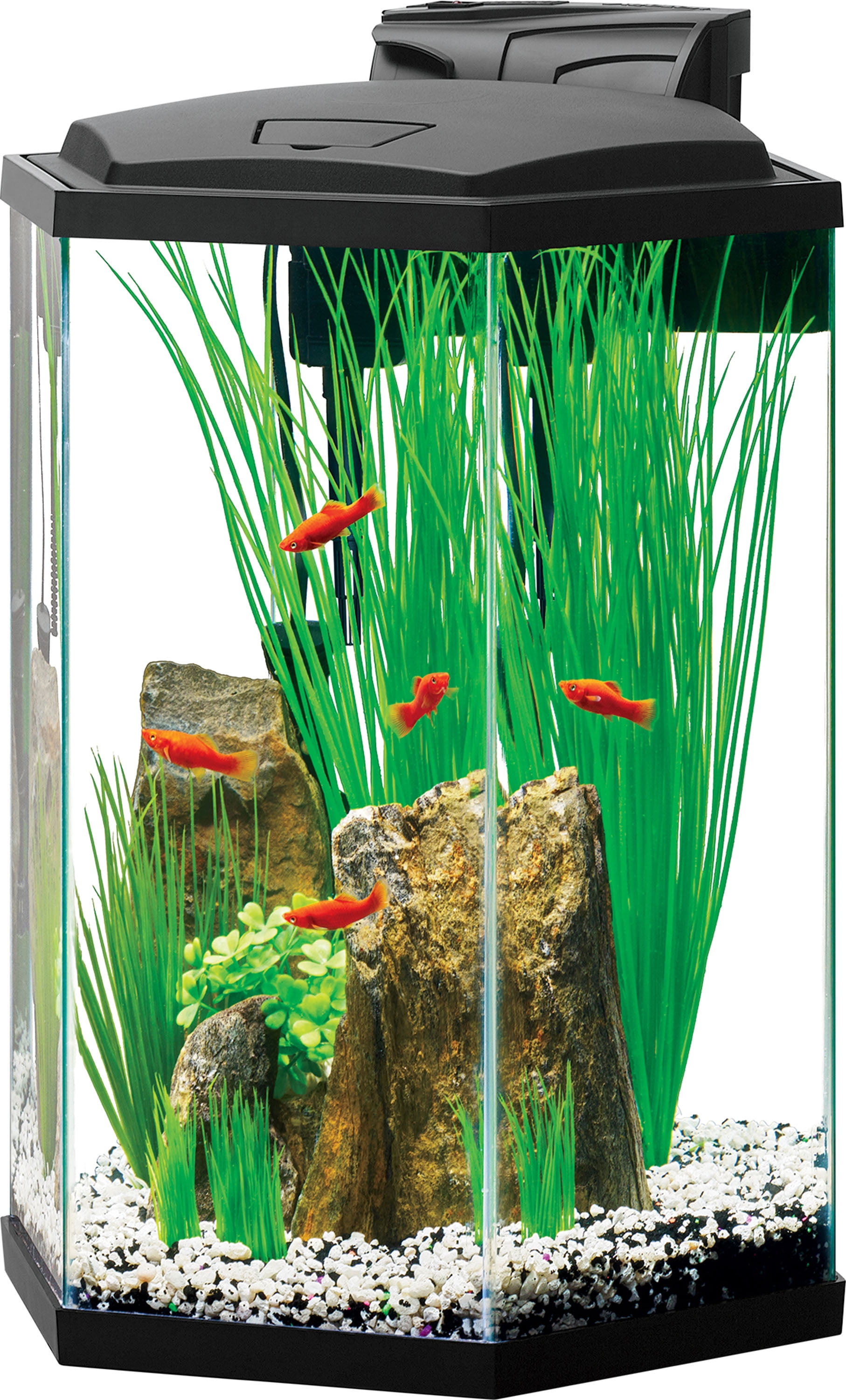 PREMIUM LED HEXAGON AQUARIUM KIT WITH PLANT CUP Walmart