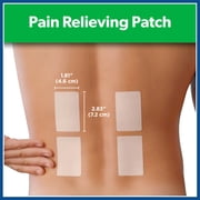 Salonpas Pain Relieving Patch, 20 Count (Pack of 1)