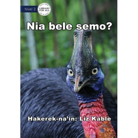 Can It Fly? - Nia bele semo?, (Paperback)