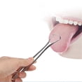 thumbnail image 1 of 2 raspadores de lengua reutilizables de acero inoxidable, limpiador lingual suave para el cuidado bucal, elimina el mal aliento y raspa la lengua, herramientas de lavado bucal., 1 of 3