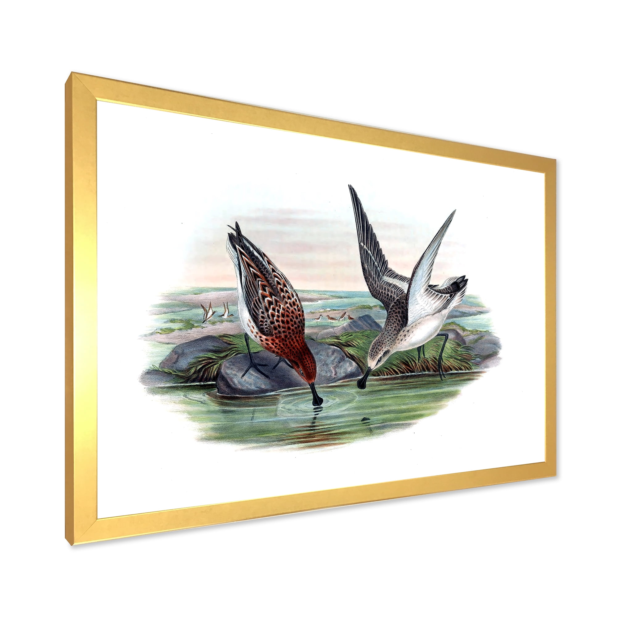 Designart 'Vintage Countryside Two Birds In Lake' Farmhouse Framed Art Print