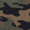 Green Camouflage, variant on Wonder Nation Kids' Unisex 17" Sensory and Adaptive Backpack and Lunch Box Set, Black
