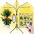 thumbnail image 1 of Luces LED para plantas KEELIXIN de 5 cabezales ajustables de espectro completo, 1 of 7