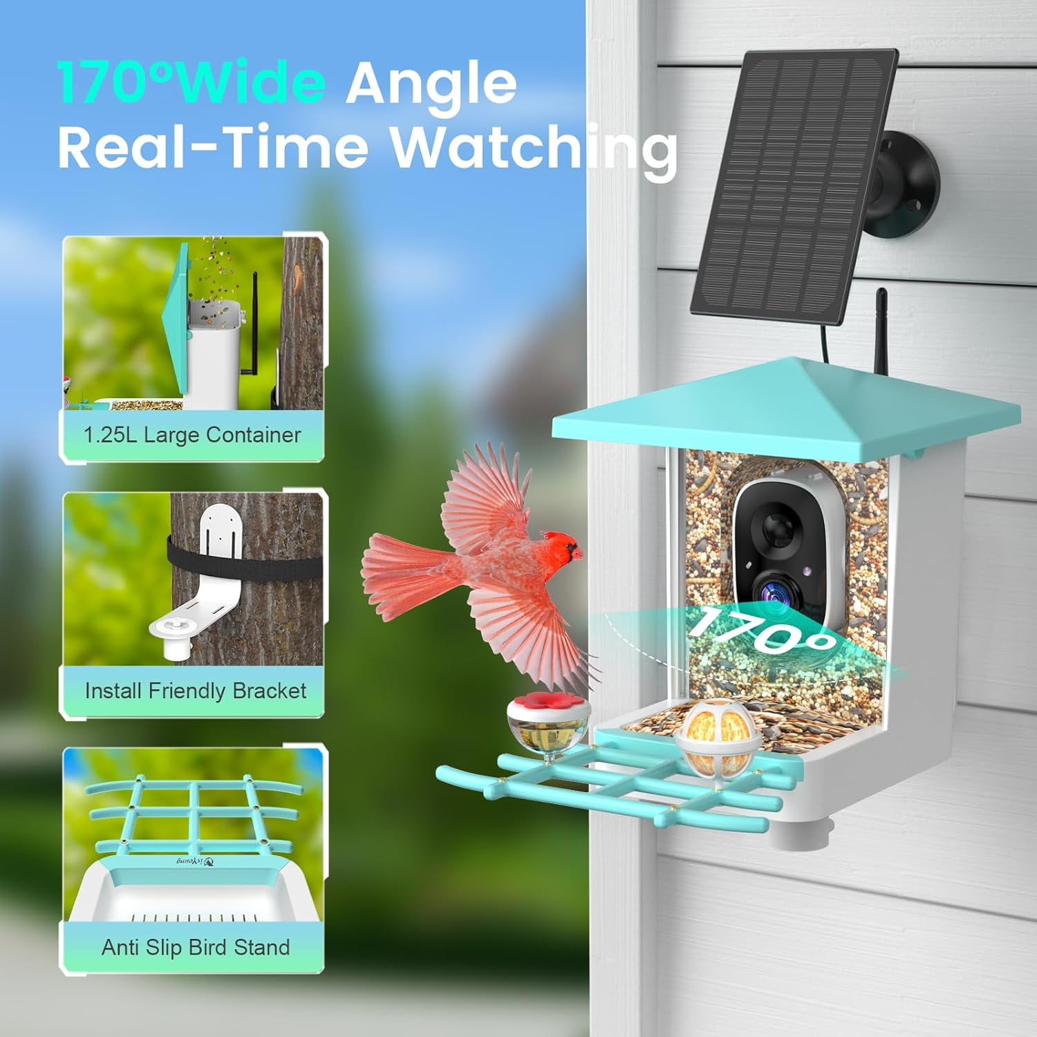 Smart Bird Feeder with Camera, AI Identify 16000+ Birds, 5W Solar, 170° View, Motion Detection – Ideal Gift for Bird Lovers