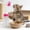 Pink, variant on Aooww Pet Nursing Bottle Kit for Newborn Puppy Kitten Squirrel, 4 Nipple Sizes with Milk Replacement Formula Dispenser & Cleaning Brush, Essential Hand Feeding & Baby Animal Care Set,Green