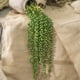thumbnail image 2 of 6PCS Colgantes Artificiales Suculentas Sunnimix Plantas de suculentas artificiales, 2 of 8
