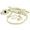 thumbnail image 1 of Party Geckos Halloween Decoration Shop Animal Skeleton Prop Education, 1 of 8