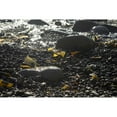 thumbnail image 3 of Crane, Rita 14x11 Black Modern Framed Museum Art Print Titled - Rocky Shore IV, 3 of 5