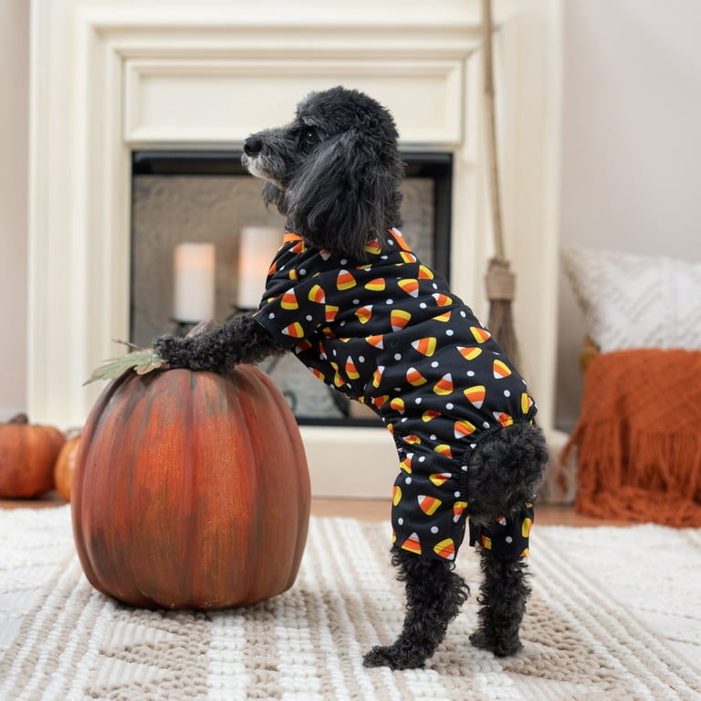 Vibrant Life Dog and Cat Clothes, Candy Corn Halloween Pet Pajama, Black,  Small 