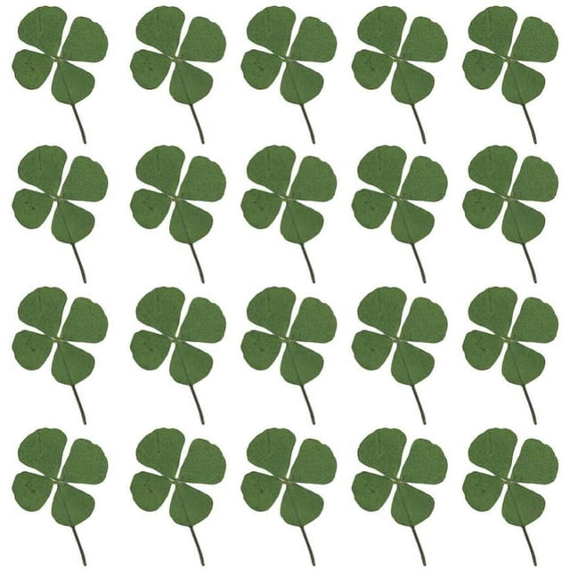 24 Uds flores prensadas y secas naturales planta de hoja de trébol de cuatro hojas para hacer joyas de resina DIY arte artesanal