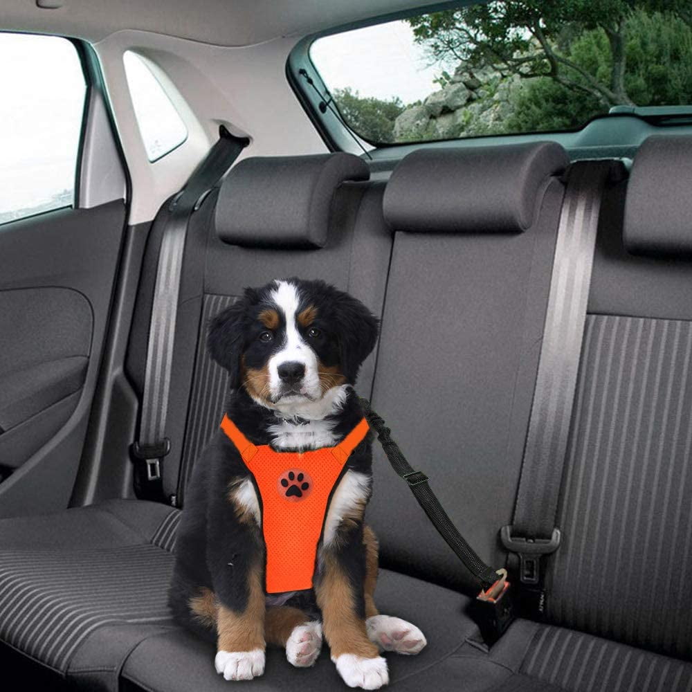 TESNN Dog Car Harness Seatbelt Set Dog Vest Harness Adjustable with Breathable Mesh Vehicle Safety Seat Belt Tether with Elastic Bungee for Small Medium Large Dogs Walmart