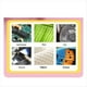 thumbnail image 2 of Microscopio Electrónico Portátil para Niños, Microscopio Digital con Aumento de 500x, Juguetes Educativos Científicos, Color Verde., 2 of 5