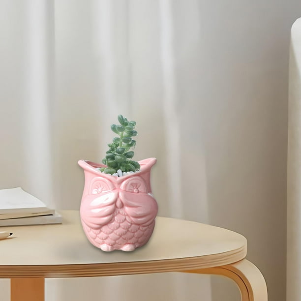 Maceta con forma de búho para decoración del hogar, Mini maceta de cerámica para bonsái, para estante, Patio, hogar, oficina y jardín , Sin olor Rosa