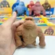 thumbnail image 3 of Nuevos juguetes antiestrés orangután, mono elástico blando, divertido descompresión, gorila, juegos para aliviar el estrés, juguete para adultos y niños, 3 of 6