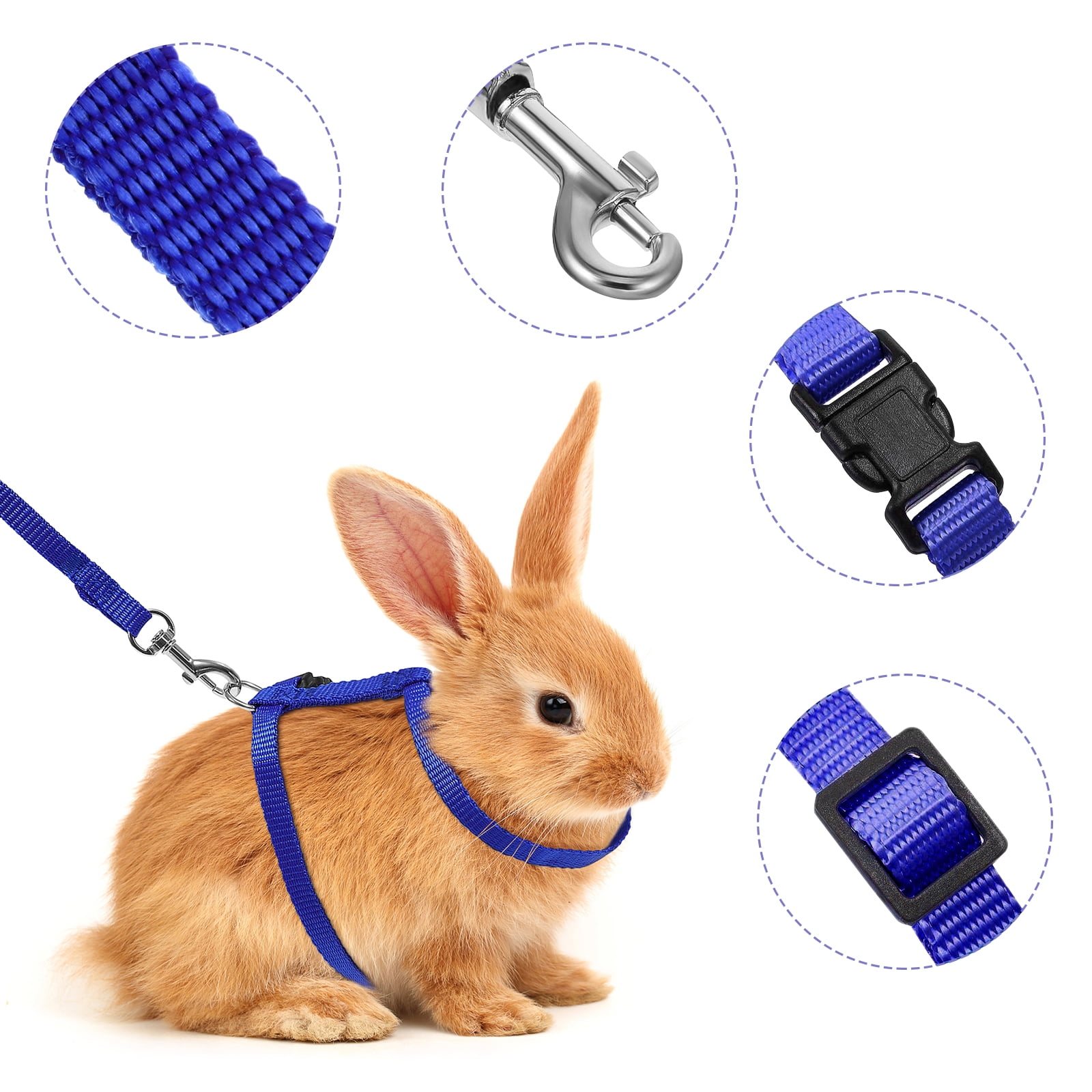 Bunny leash walmart cheap