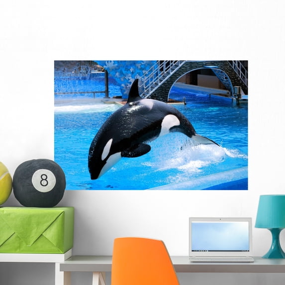 Jumping Killer Whale Wall Mural by Wallmonkeys Peel and Stick Graphic (36 in W x 24 in H) WM35409