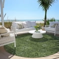 thumbnail image 6 of Addison Rugs Chantille Indoor/Outdoor Transitional Floral Olive Washable Round Rug, 8' x 8', 6 of 6