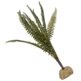 thumbnail image 2 of Simulation Landscaping Boston Fern, Safe Simulated Lively Natural Artificial Fake Boston Fern  For Aquarium Reptile Box, 2 of 8