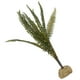 thumbnail image 2 of Plantas artificiales de helecho de Boston para paisajismo, ideal para decorar acuarios y reptiles., 2 of 14