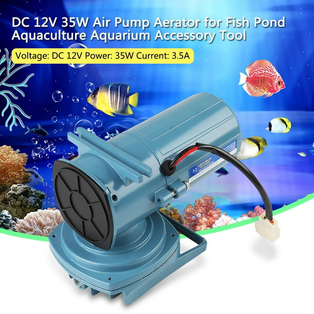 Herwey Pompe à air d'aquarium, pompe à oxygène pour aquarium, aérateur de  pompe à air DC 12V 35W pour outil accessoire d'aquarium d'aquaculture  d'étang à poissons 