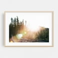 thumbnail image 2 of Sun Flare - Photography Forest Nature Landscape Wilderness Woodland Scenic Unframed Wall Art Print 20 x 30 inches, 2 of 7