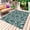 Teal, variant on Black Spring Floral Outdoor Rug 3x5 Ft - Reversible Patio Rug Outdoor Camping Rugs, Farmhouse Flowers Elegant Pastoral Washable Indoor Outdoor Area Rugs, Non-Slip Outdoor Carpet Runner for Deck/Porch