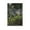 Unframe-style, variant on Ivan Shishkin Print Painting Corner of Overgrown Garden. Goutweed-grass Wall Art Poster Gifts Bedroom Prints Home Decor Hanging Picture Canvas Painting Posters 12x18inch(30x45cm)