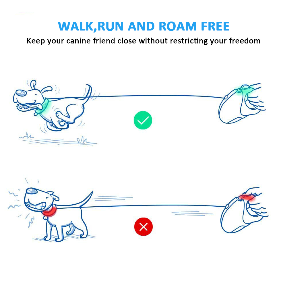 inside of a retractable dog leash