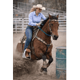thumbnail image 2 of Roping Knotted Horse Tack Western Barrel Reins Nylon Braided Emerald Green Black 60701, 2 of 5