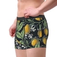 thumbnail image 5 of Salouo Hand Drawn Citrus Fruits Elegant Lemons Print Men's Boxer Briefs,Breathable Underwear Elastic Waistband Briefs for Men -Large, 5 of 8