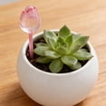 thumbnail image 1 of 6 comederos para plantas con riego automático por goteo, globos de riego decorativos para plantas de tulipán, para vacaciones en interiores., 1 of 8