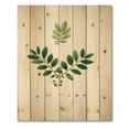 thumbnail image 3 of Designart 'Ancient Plant Life XIV' Farmhouse Print on Natural Pine Wood, 3 of 5