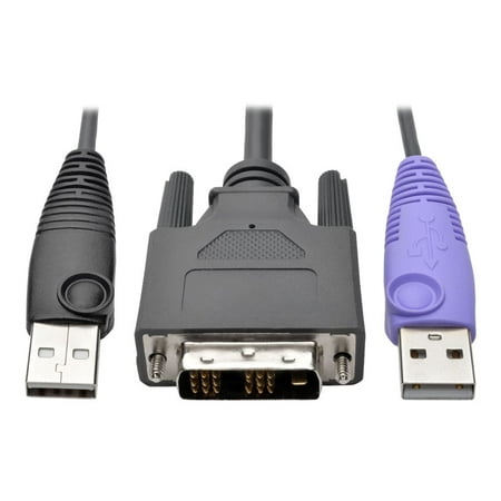 Tripp Lite DVI USB Server Interface w/ Virtual Media & CAC for B064 KVMs - KVM / USB extender - up to 164