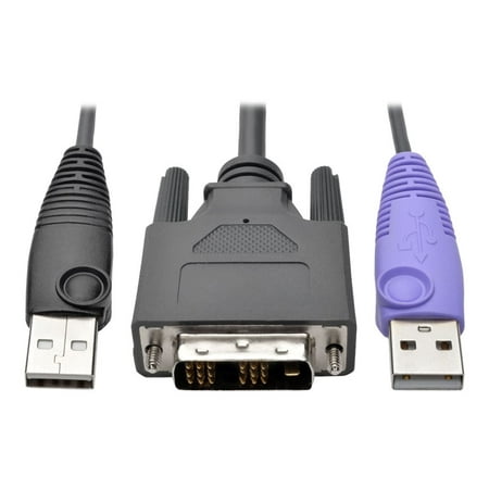 UPC: 0037332198105 | Tripp Lite DVI USB Server Interface w/ Virtual Media & CAC for B064 KVMs TAA – KVM / USB extender – up to 164 ft – TAA Compliant – for P/N: B064-008-01-IPG B064-016-01-IPG B064-032-01-IPG B064-032-04-IPG B064-064-08-IPG