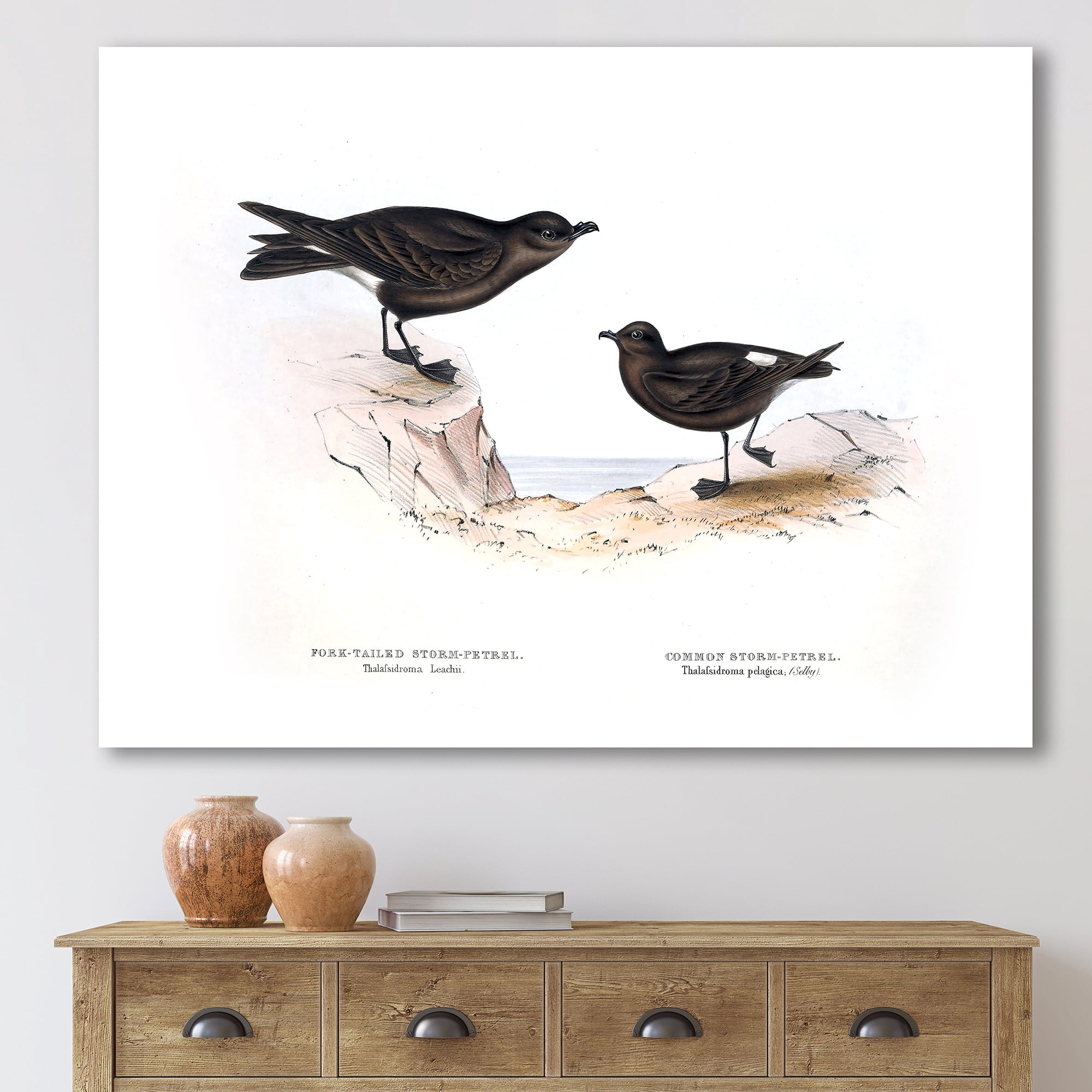 Designart ' Ancient Bird Of Europe III ' Traditional Canvas Wall Art Print