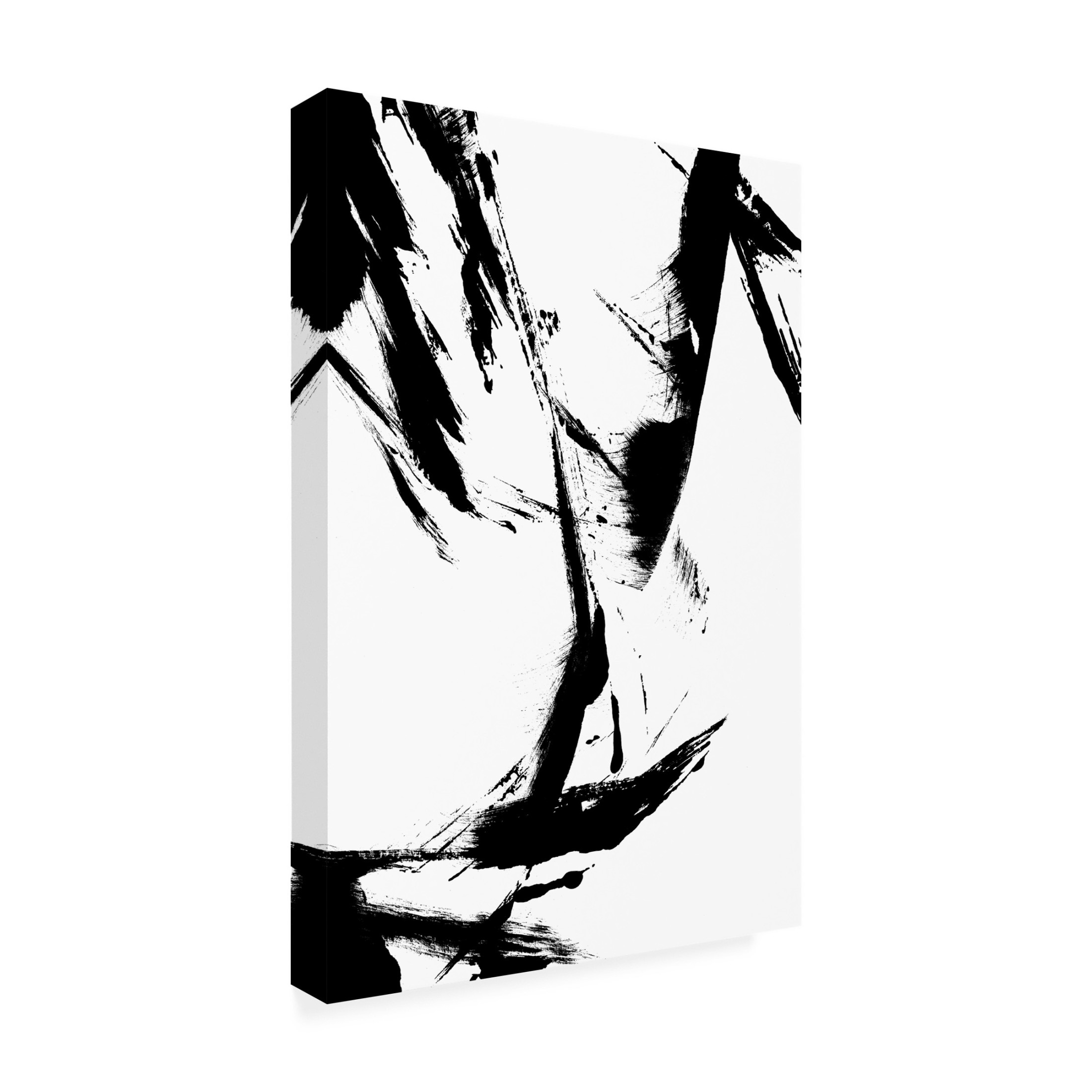 Trademark Fine Art uplusmestudio Feathery Streak Canvas Wall Art