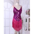 thumbnail image 5 of Zaldita Womens Sequins Tassel Flapper Ballroom Dress Asymmetric Fringe Tango Latin Dance Dress Rose One_Size, 5 of 7