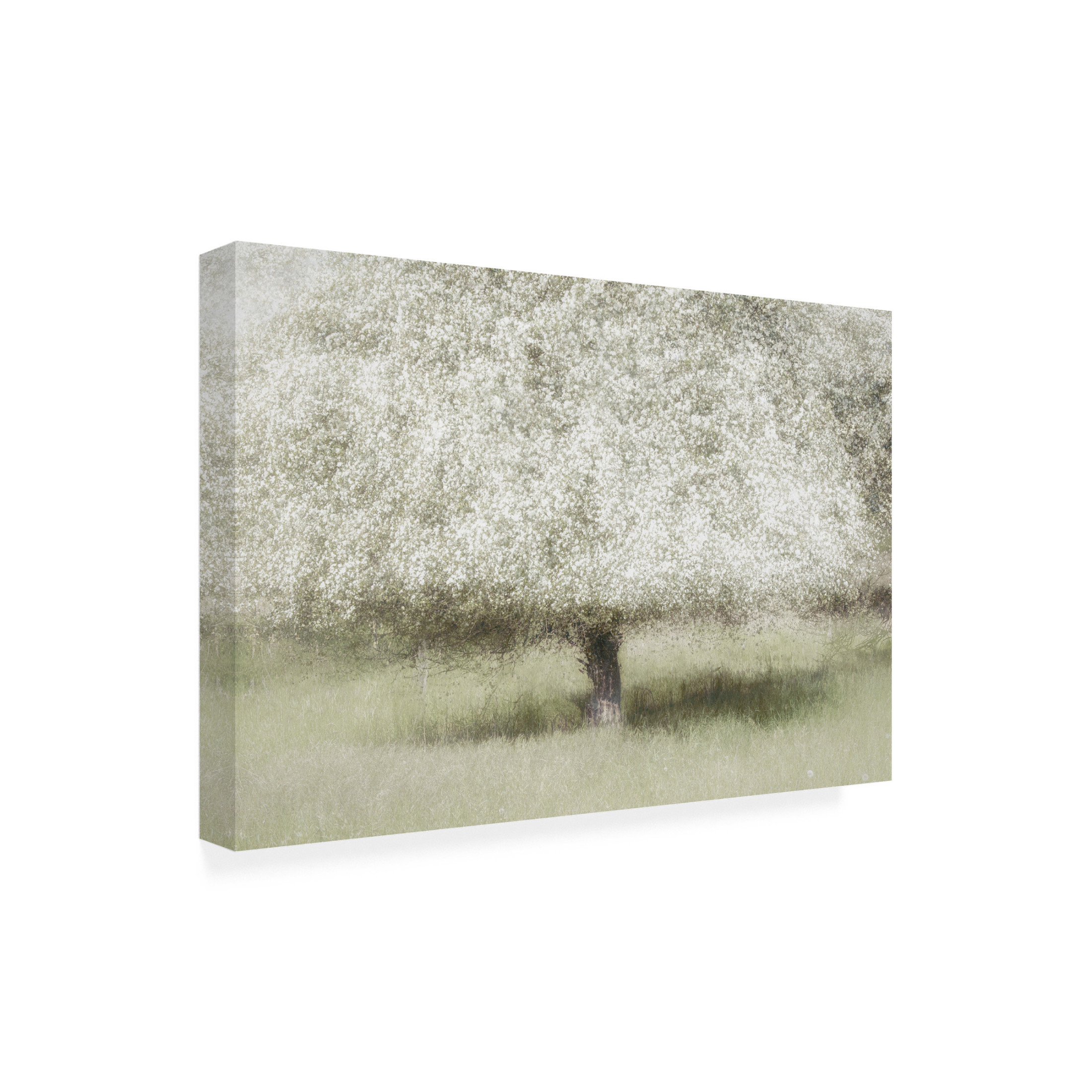 Canvas Wall Art - Greetje Van Son 'In The Backyard' Wall Art for Living Room, Bedroom, or Office Décor by Trademark Fine Art - 32 x 22 Inches