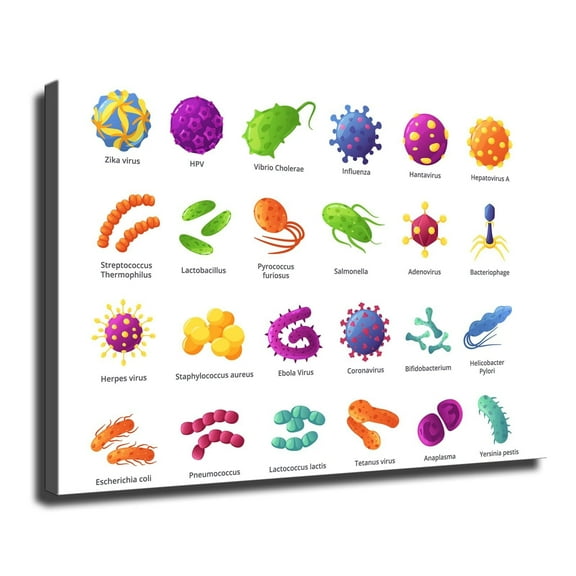 Microbial Bacteria Chart Wall Art Poster Modern Wall Art Lving Room Wall Art Picture