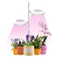 thumbnail image 1 of Indoor Small Plant Light Full Spectrum LED Plant Light Desktop Mini Plant Light Height Adjustable Plant Light with IPL & Sunlight in Single & Double Lamp Holder, 1 of 8