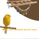 thumbnail image 1 of Campana pequeña para loro, colorida, hecha a mano, joyería para mascotas, jaula colgante, columpio (C) Ndcxsfigh Para estrenar, 1 of 8