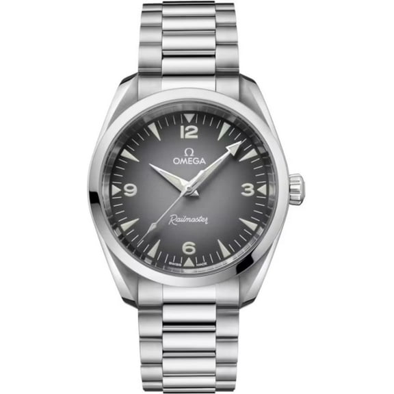 Omega Seamaster Railmaster Automatic Grey Dial Stainless Steel Men's Watch 235.10.38.20.06.001