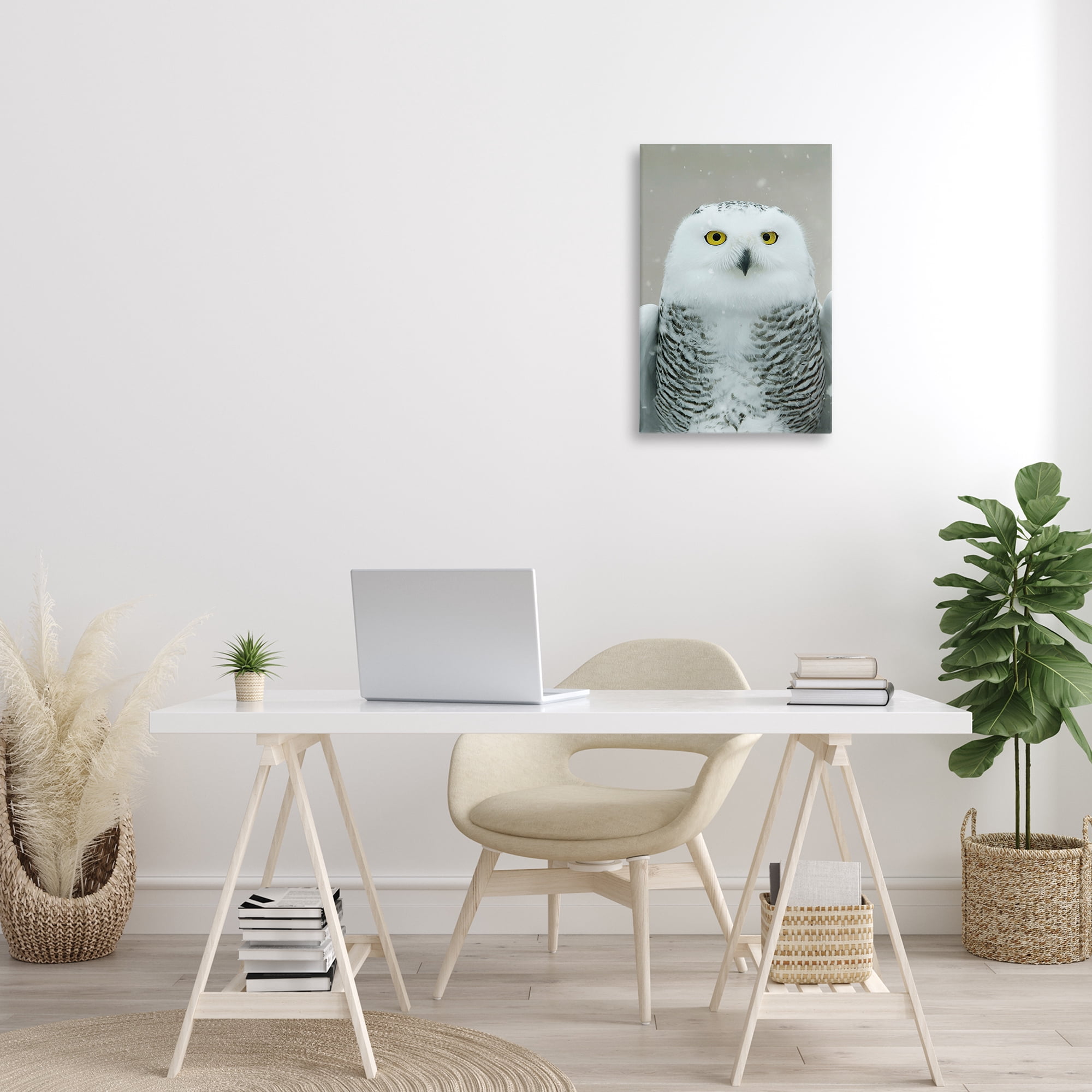 Stupell Industries Snowy Owl Portrait Animals & Insects Photography Gallery Wrapped Canvas Art Print Wall Art, 16 x 24