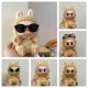 thumbnail image 4 of Ropa y accesorios para minimuñecos de peluche de 17 cm para Kpop coreano Exo Labubu Idol, gafas de sol, ropa, regalo, 4 of 5