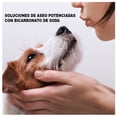 thumbnail image 4 of Shampoo y Acondicionador para Mascotas Arm & Hammer 2 en 1 Menta y Pepino 591 ml, 4 of 4